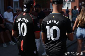 今年会官网-曼联老将：球队目标赛季争冠，全力以赴的简单介绍