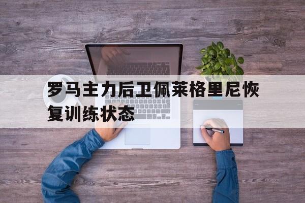 关于罗马主力后卫佩莱格里尼恢复训练状态的信息